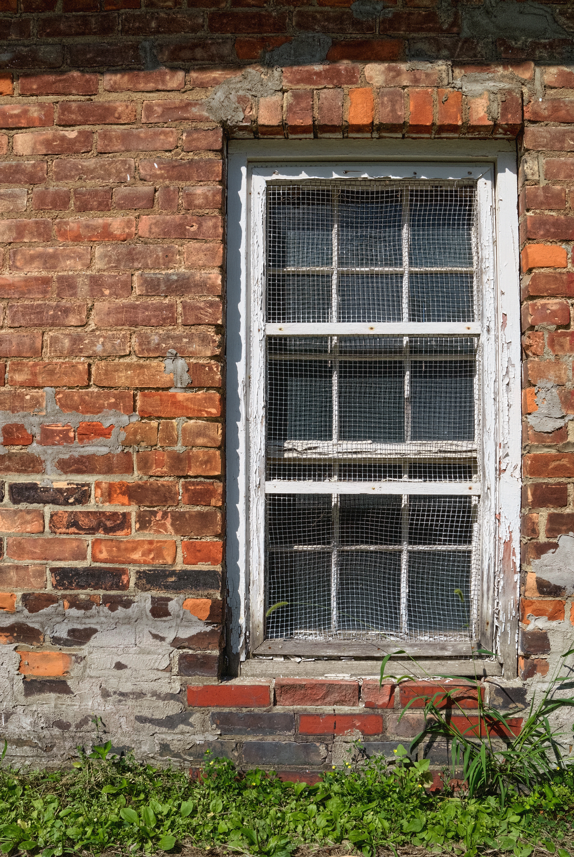 Reasons To Replace Your Old Worn Out Window Screens